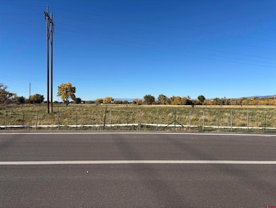 TBD Highway 550, Montrose, CO 81403 - photo 2