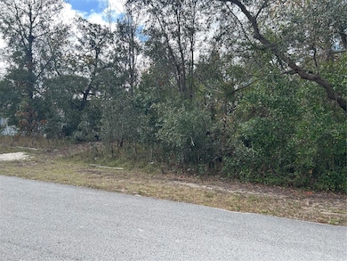 8346 Eric St, Spring Hill, FL 34608 - photo 3