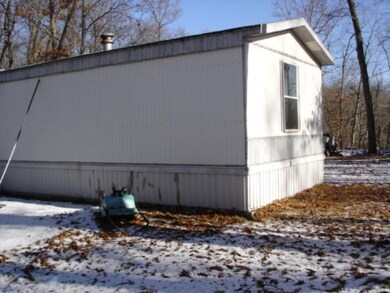 8540 Ashland Ave, Bitely, MI 49309 - photo 3