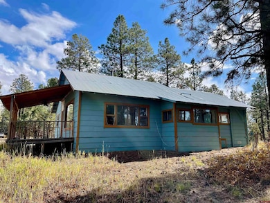 307 Deer Trail Rd, Durango, CO 81303 - photo 4