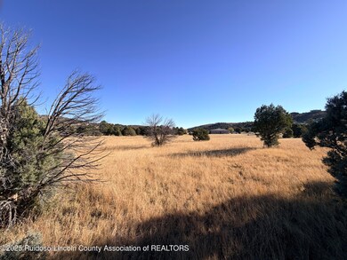 270A Saddleback Rd, Alto, NM 88312 - photo 2