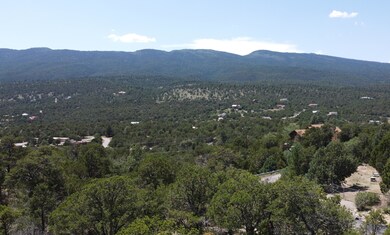 24 Mulberry Loop, Cedar Crest, NM 87008 - photo 7