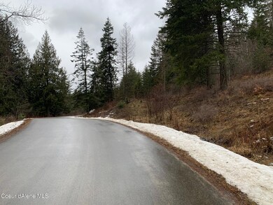 NNA F12 S Idaho Club Dr, Sandpoint, ID 83864 - photo 3