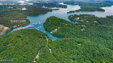 NorrisLake-ShanghaiMarinaPins.jpg