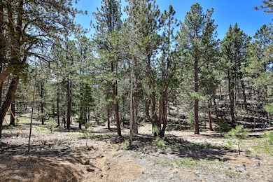 860 Spring Creek Dr, Divide, CO 80814 - photo 7