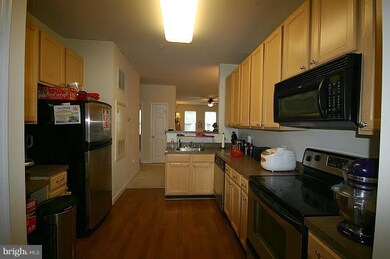 42520 Hollyhock Terrace, Ashburn, VA 20148 - photo 4