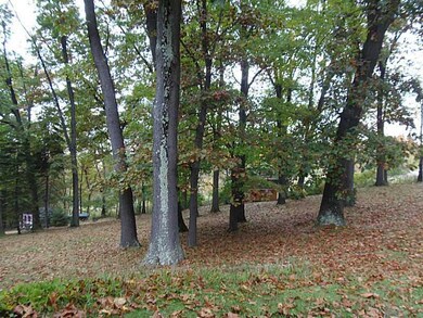 Yard/Garden.