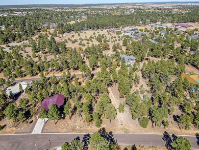 1040 S Redberry Dr, Show Low, AZ 85901 - photo 6