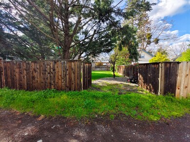 Fenced Back Yard from gates 3