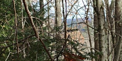 lot 93-1 Wallace unit 93-1, Goffstown, NH 03045 - photo 3