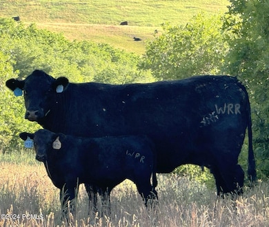 2750 Kippen Ln, Morgan, UT 84050 - photo 7