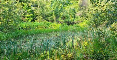 Resized_2 2