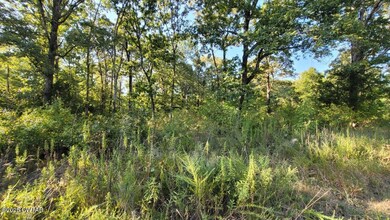 0 Franklin Ave, Lexington, TN 38351 - photo 2