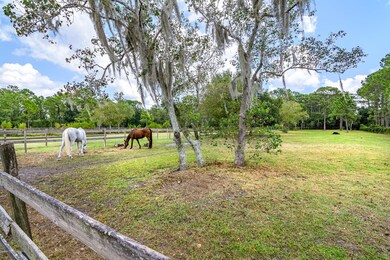 Fenced Pasture