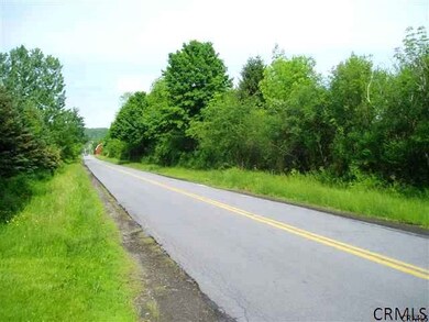 1 Long Grass Ln unit Long Grass Lane, Guilderland, NY 12009 - photo 5