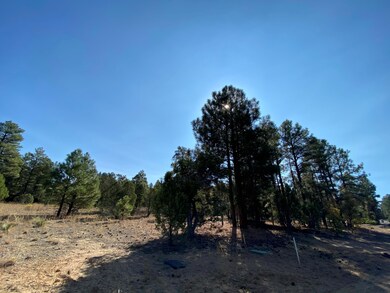 4610 W Hawthorn Rd, Show Low, AZ 85901 - photo 2