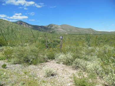 5-Property gate looking east from James