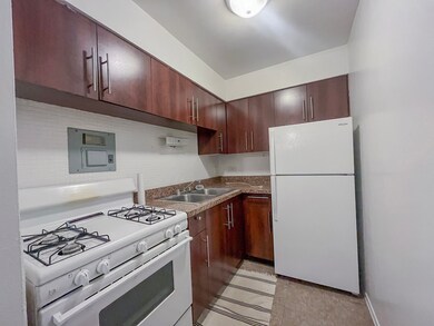 736 W Buena Ave unit 402, Chicago, IL 60613 - photo 6