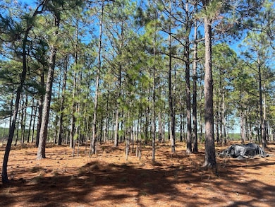 2762 Bullard Ford Rd, Hartsville, SC 29550 - photo 3