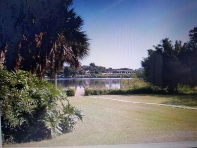 backyard #2