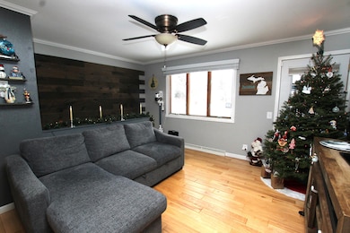 313 N Linden Ave, Fremont, MI 49412 - photo 6