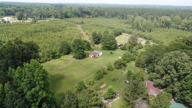 View of bird's eye view