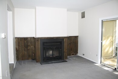 Woodburning Fireplace