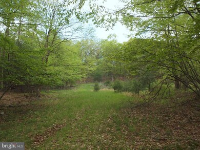 OFF RT. 8 Reeds Creek Rd, Franklin, WV 26807 - photo 4