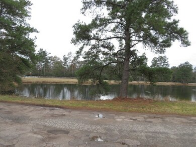 25210 Shoreline Rd, Hockley, TX 77447 - photo 2