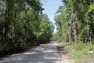 175 Wakulla Beach Rd, Crawfordville, FL 32327 - photo 3
