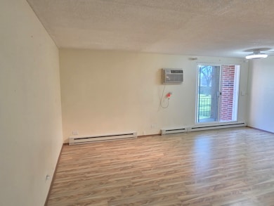 255 S West Ave unit 214, Elmhurst, IL 60126 - photo 4