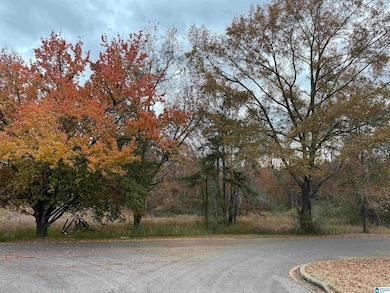 3 Springs Cove Rd, Warrior, AL 35180 - photo 3