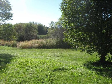 Yard/Garden.
