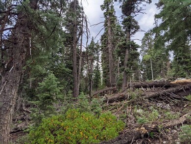 35 S Solitude, Duck Creek Village, UT 84762 - photo 5