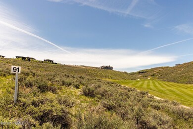 004_01-7429_golden_bear_loop01_416