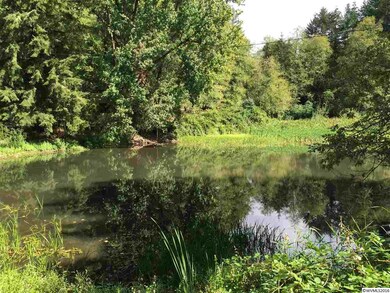 21226 Abiqua Rd NE, Scotts Mills, OR 97375 - photo 5