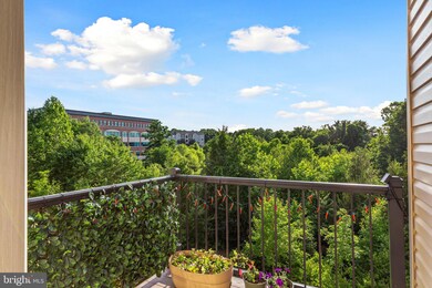 8254 Knight Station Way, Manassas, VA 20111 - photo 5