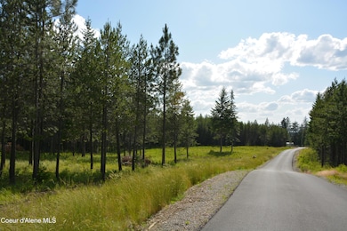 NKA Sylvan, Athol, ID 83801 - photo 2