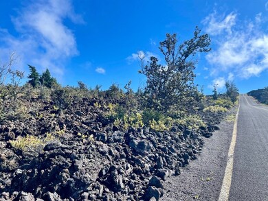 mix of pahoehoe and a'a lava