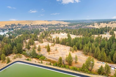 17700Blk W Williams Lake Rd, Spokane, WA 99004 - photo 6