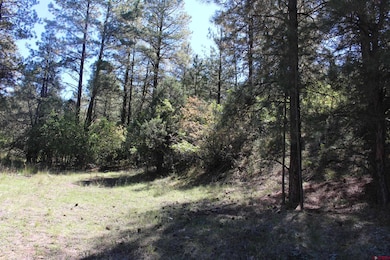 290 Wits End Place, Pagosa Springs, CO 81147 - photo 7