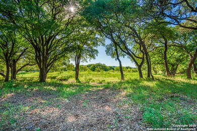 24709 Breeze Oak Ln, Cross Mountain, TX 78255 - photo 6