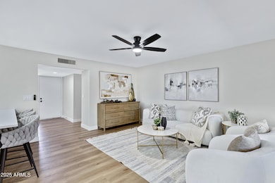 4347 E Catalina Cir-10