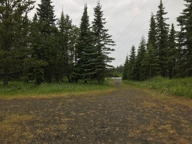 long circle driveway