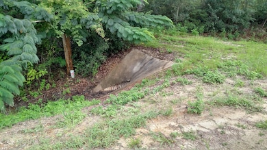 IMG_20170822_105312491_HDR