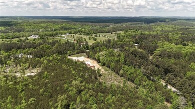 Aerial view of a forest