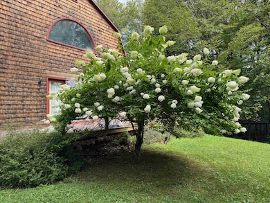 1501 Sheldon Hill Rd, Wardsboro, VT 05355 - photo 6