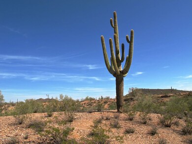 Land Photo #3