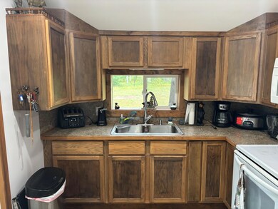 3031 W 72nd St, Baldwin, MI 49304 - photo 4