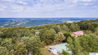 This home is situated on 5 acres on brow side of Lookout Mountain.  Looks like you have the Potential of a Great View!